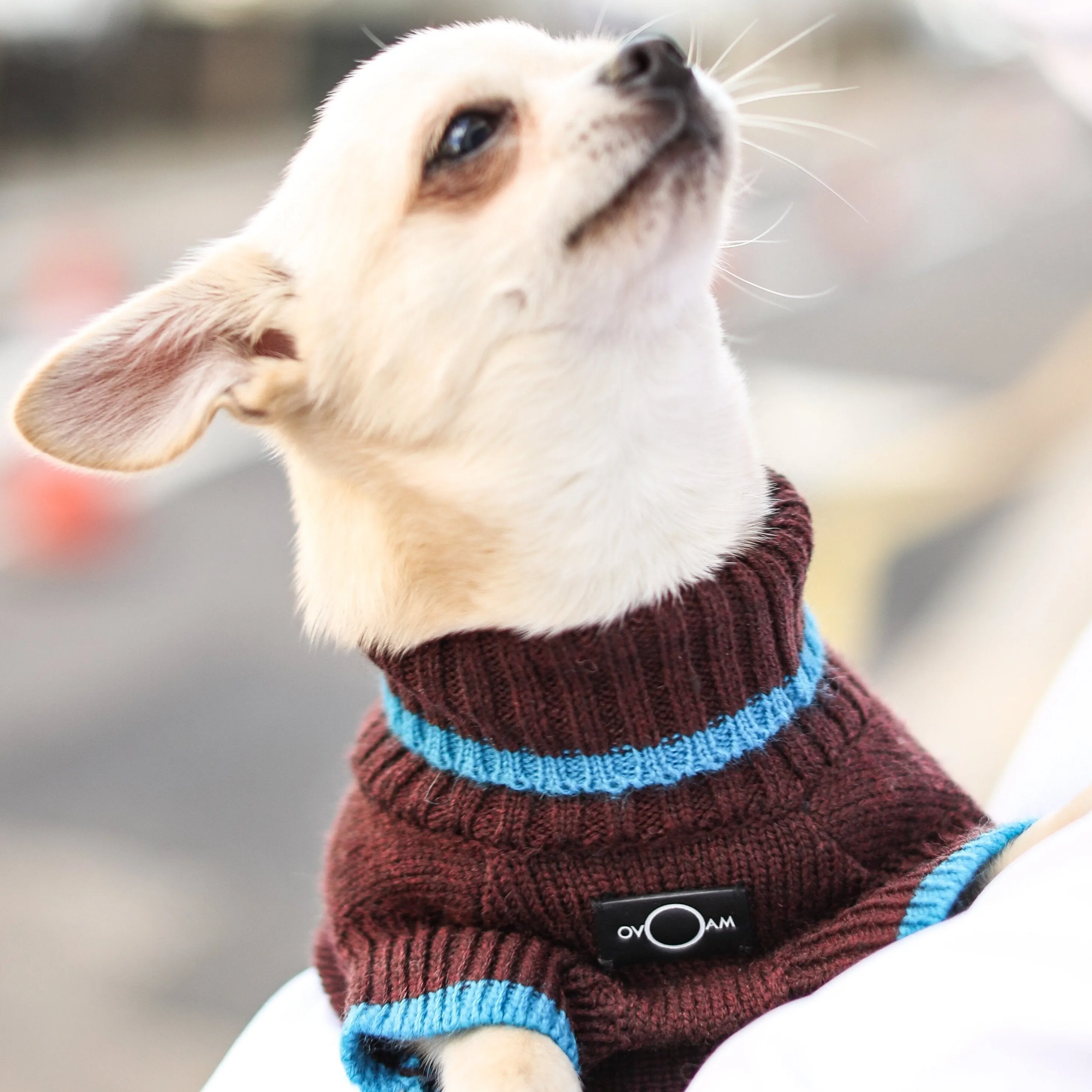 Contrast Turtleneck Jumper