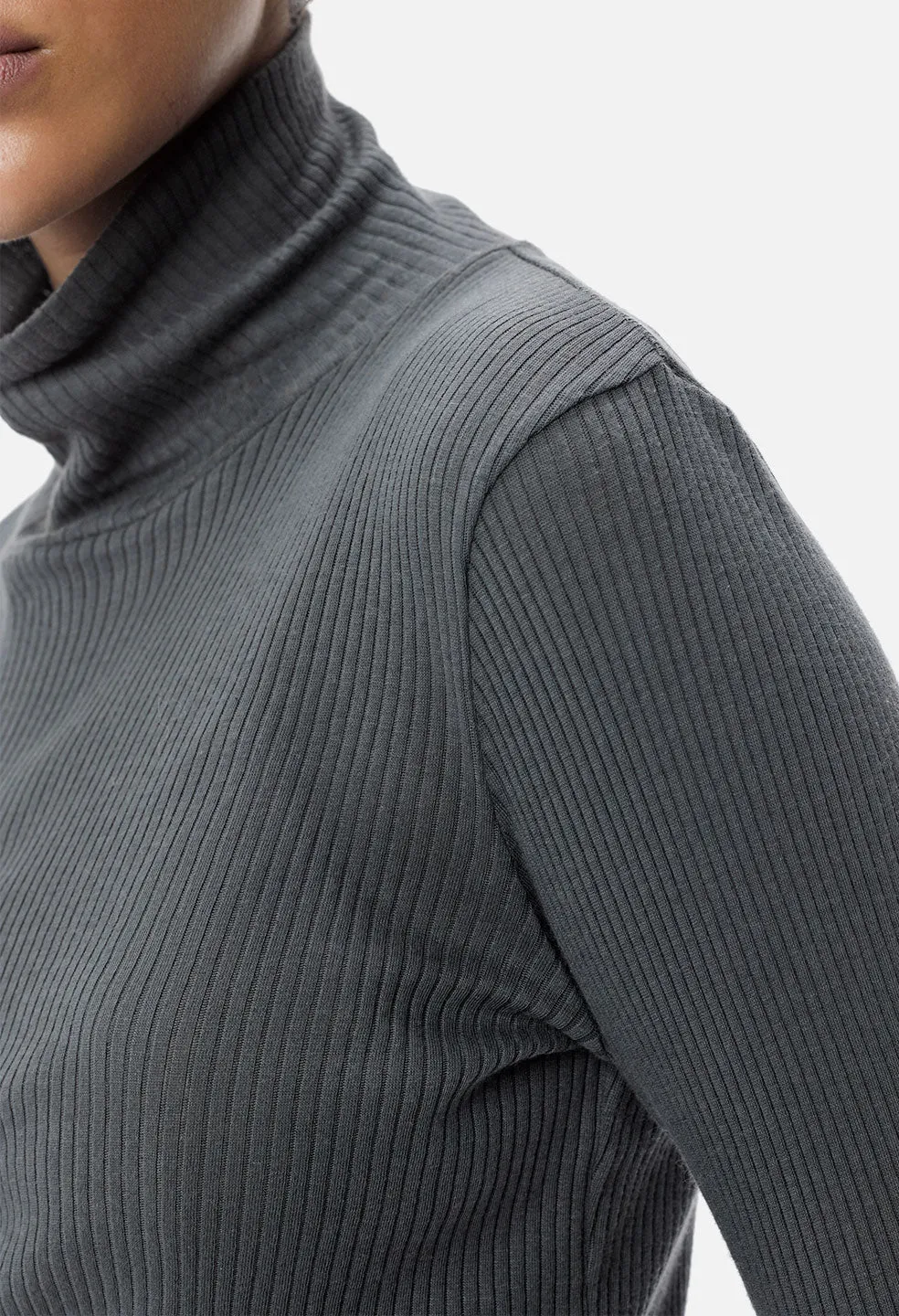 Des Cashmere Rib Turtleneck / Charcoal