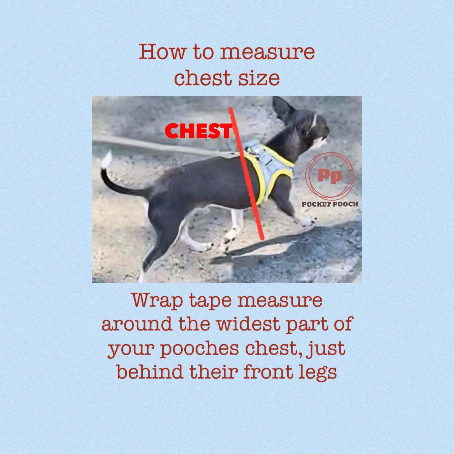 Waterproof dog coat